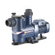 Насос для басейну Pedrollo MAGNIFICA 5T 43MA051A
