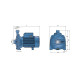 Відцентровий насос Pedrollo CP 160C 44CT26CA