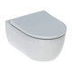 Комплект подвесного унитаза Geberit iCon Rimfree (500.784.01.1)