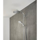 Raindance Select Е 120 Ручний душ, хром, HANSGROHE (26520000)