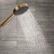 PULSIFY ручной душ (3 типа струи PowderRain, IntenseRain, Massage) цвет шлифованная бронза, HANSGROHE (24110140)