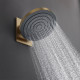 PULSIFY держатель верхнего душа, цвет шлифованная бронза, HANSGROHE (24149140)