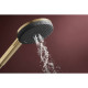 RAINDANCE ALIVE SELECT S ручний душ (3 типи струменів RainAir, PowderRain, Massage), шліфованна бронза, HANSGROHE (24500140)