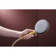 RAINDANCE ALIVE SELECT S ручний душ (3 типи струменів RainAir, PowderRain, Massage), шліфованна бронза, HANSGROHE (24500140)