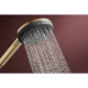 RAINDANCE ALIVE SELECT S ручний душ (3 типи струменів RainAir, PowderRain, Massage), шліфованна бронза, HANSGROHE (24500140)