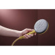 RAINDANCE ALIVE SELECT S ручний душ (3 типи струменів RainAir, PowderRain, Massage), полірованне золото, HANSGROHE (24500990)