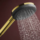 RAINDANCE ALIVE SELECT S ручний душ (3 типи струменів RainAir, PowderRain, Massage), полірованне золото, HANSGROHE (24500990)