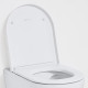 KARTELL сидіння з кришкою 44,5*37,5*3,5см, знімне, з механізмом slow closing, білий матовий, LAUFEN (H8913337570001)