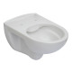 Victoria Rimless подвесной унитаз с крышкой slim slow-closing, ROCA (A34H398000)