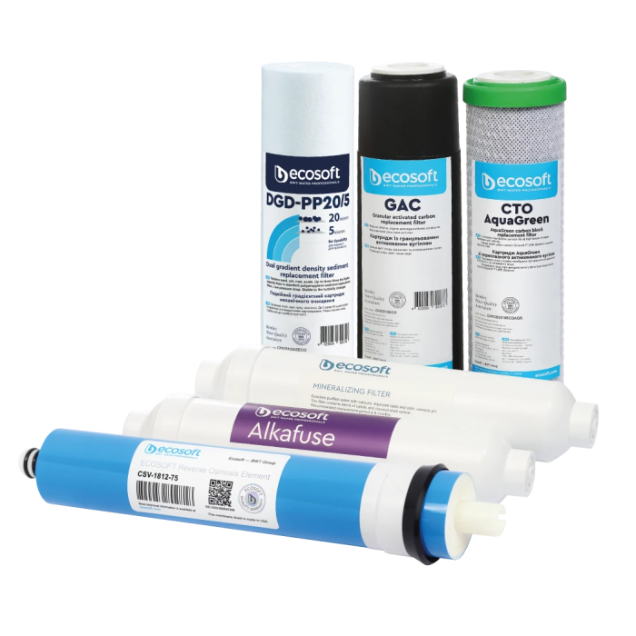 Комплект картриджів Ecosoft P'URE Alkafuse 12 місяців (CHV6PUREALC) (CHV6PUREALC)