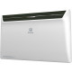 Electrolux ECH/AGI-2500 (ECH/AGI-2500)
