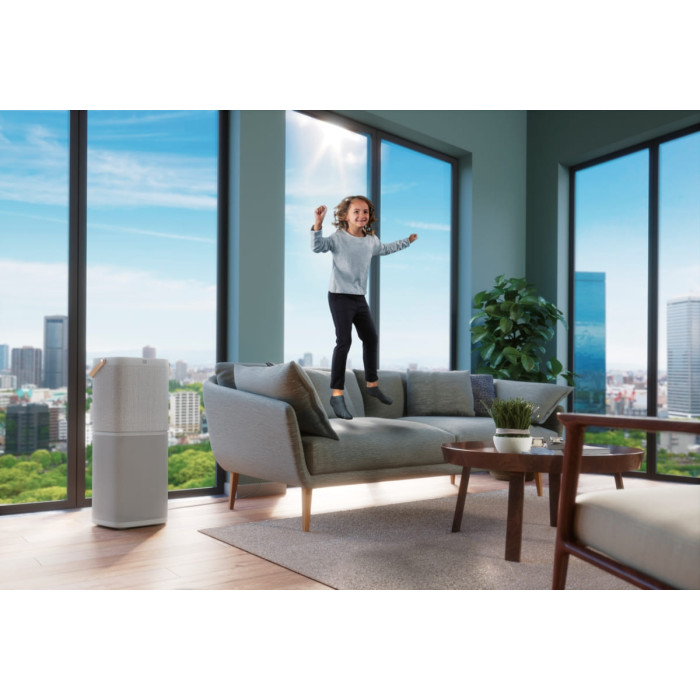 Electrolux Очисник повітря, 92м2, 442м3/год, дисплей, 5-и шаровий HEPA фільтр, Wi-Fi, 9 режимів, сірий (PA91-404GY)