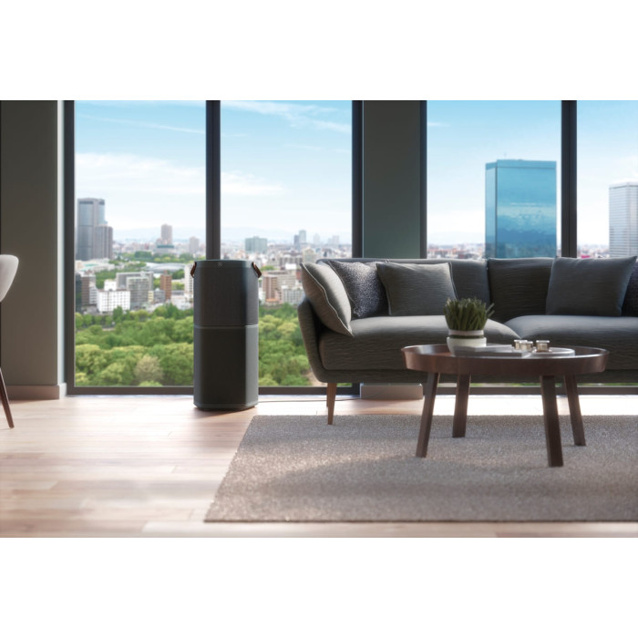 Electrolux Очисник повітря, 129м2, 620м3/год, дисплей, 5-и шаровий HEPA фільтр, Wi-Fi, 9 режимів, сірий (PA91-604DG)