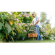 Тример садовий Bosch EasyGrassCut 23 280Вт 23см 1.9кг (06008C1H01)