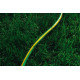 2E Шланг садовий AquaFlex Green 1/2
