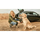 Мінімийка акумуляторна Bosch Fontus 18V 18В20бар 386л/год 7.5кг без АКБ і ЗП (06008B6102)