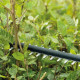 Кущоріз акумуляторний Bosch UniversalHedgeCut 18V-5018В АКБ 1х2.5А·год 50мм крок різу 20мм ЗП AL1830CV 2.6кг (0600849K01)