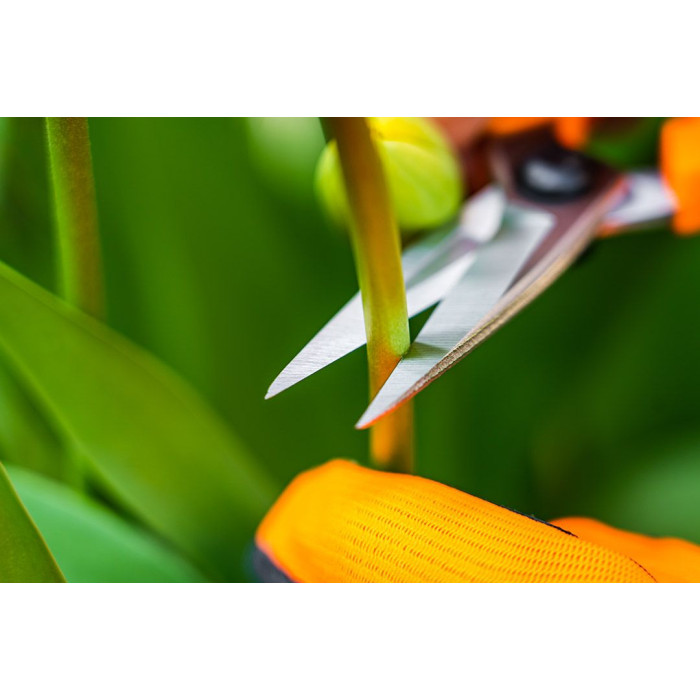 Neo Tools Ножиці садові, 18.5мм, 115г (15-215)
