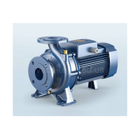 F32/160 Pedrollo (4FN40158C7A)