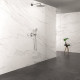 Rainshower Подключение душевого шланга с держателем  (26658000)