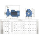 Насос Pedrollo f 80/250a моноблочний відцентровий 4FP3220HAA