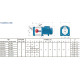 Насос Pedrollo fcr 100/4 багатоступінчастий 43FCR1152A