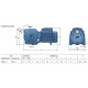 Sprinkler Pedrollo (46JS8AM15A1)