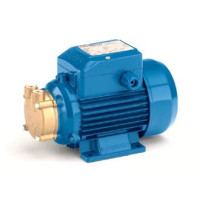 Насос Pedrollo pv 60 вихровий Pedrollo (4CDHLT2560180)