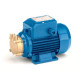 Насос Pedrollo pv 55 (*) вихровий 4CDHLT2560130