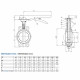 Засувка DN80 + електропривід AOX 005 220 V 50-60 Hz IP 67 Brandoni S.p.A.