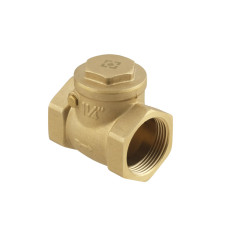 Зворотний клапан пелюстковий Raftec ВВ 1 1/4"
