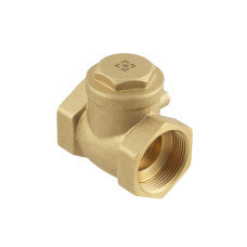 Зворотний клапан пелюстковий Raftec ВВ 1 1/2"