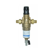 BWT Фільтр для гарячої води PROTECTOR MINI HWS ½ HR (810560)